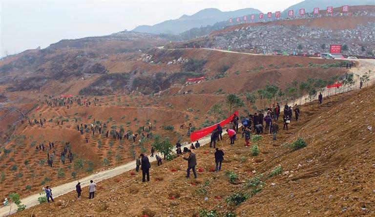 花垣县龙光平简历图片